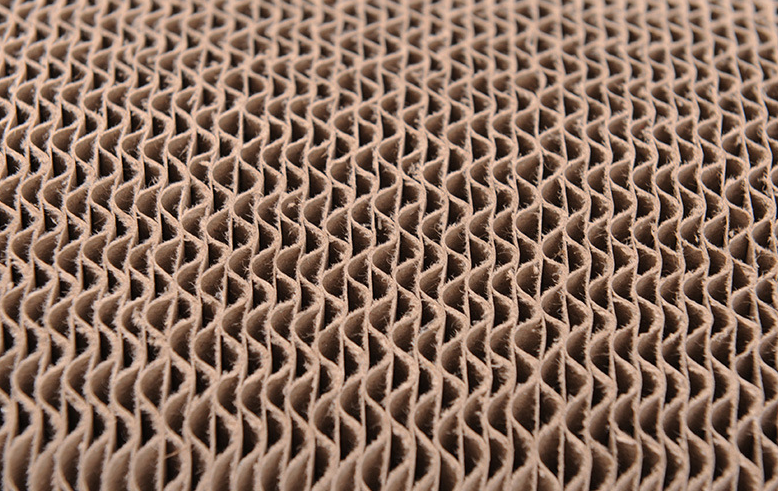 Large Cat Scratching Board with Catnip Toy