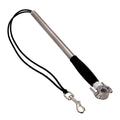 Stainless Steel Dog Leash for Biking Adventures