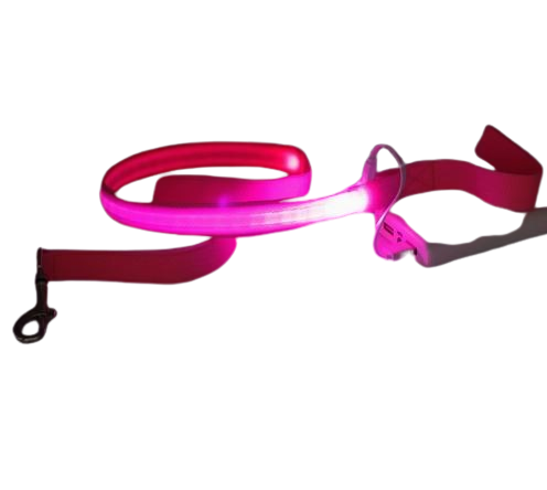 LED Reflective Harness with Leash for Pets