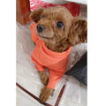 Pet Bottoming Shirt for Small Dogs